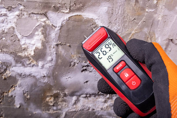 Attic Mold Removal in Boulder Hill, IL
